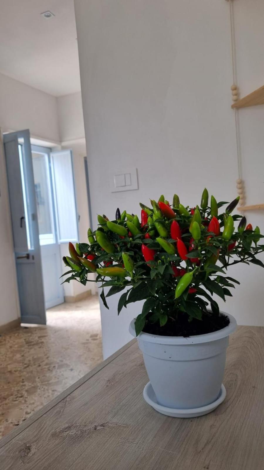 Il Fico D'India Apartment Марсала Екстериор снимка